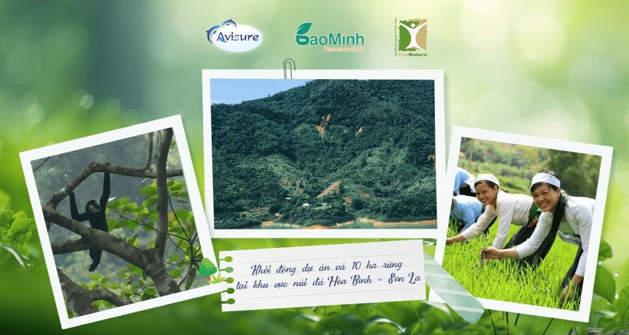 avisure góp xanh dự án trồng 10ha rừng tại hòa bình sơn la 